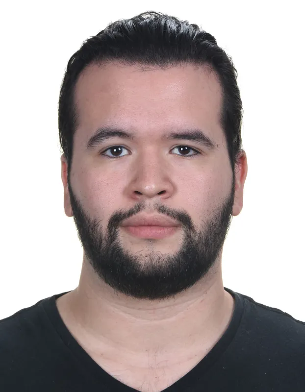 Luis Pedro Figueroa